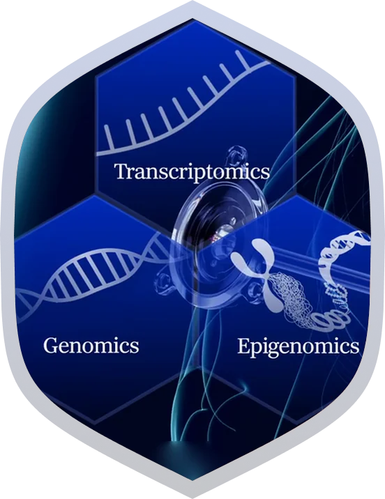 Genomics, transcriptomics and epigenomics analysis of the collected samples